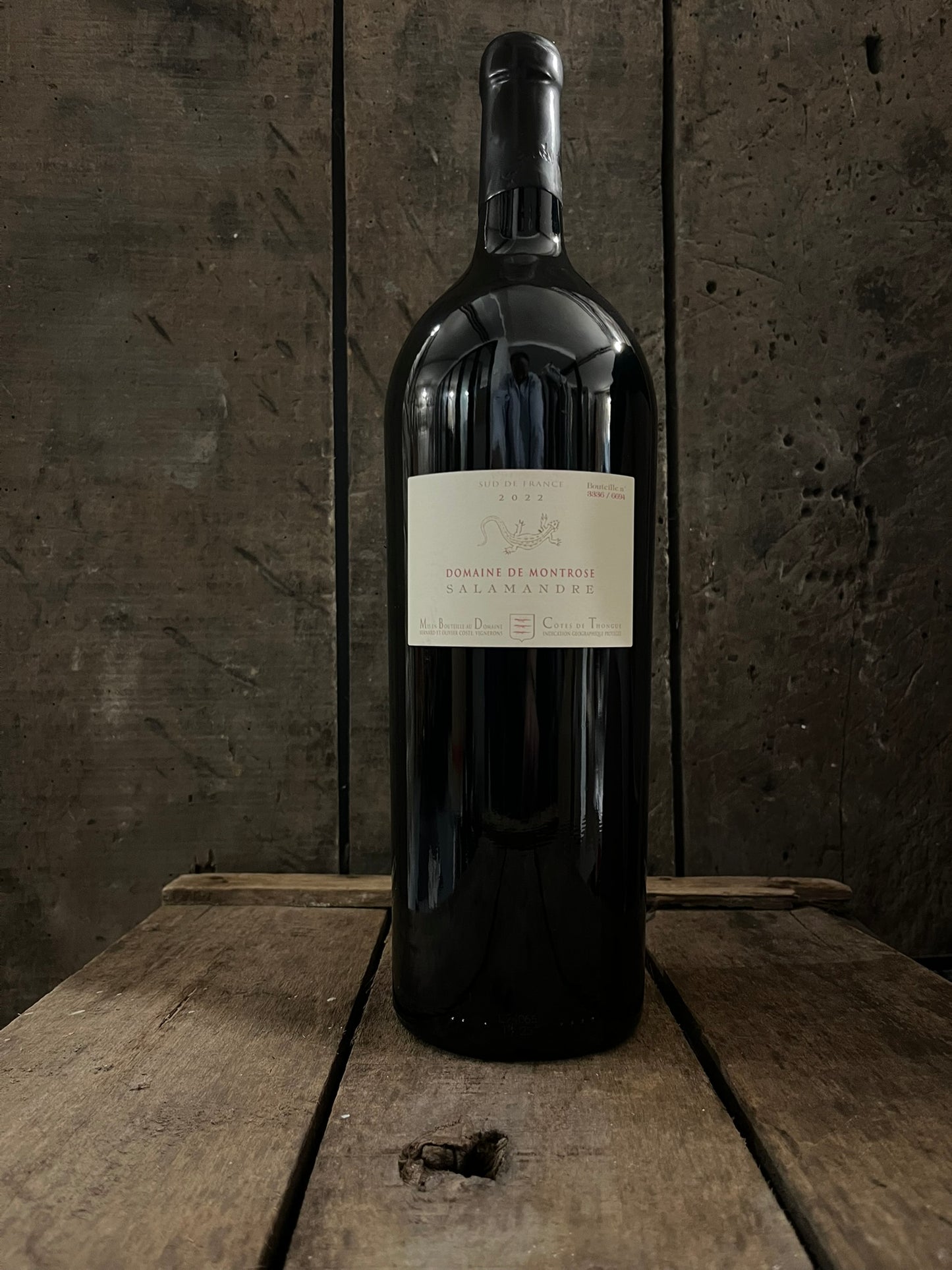 IGP Côtes de Thongue Rouge - Salamandre - 2022 - Magnum
